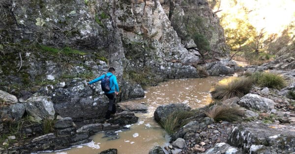 Quechua mh100 hiking fleece