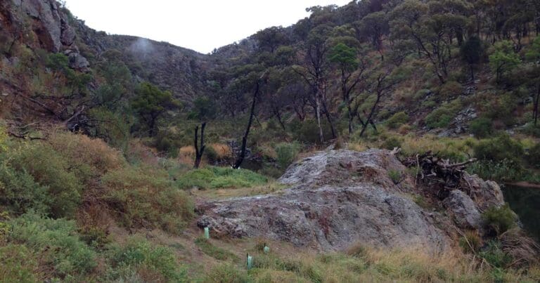 Centenary walk and the island