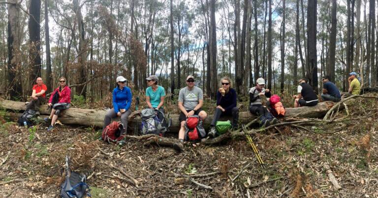 Hiking group size