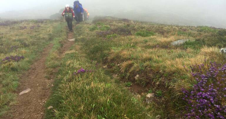 Understanding trail braiding
