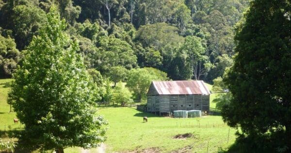 Yarramalong to cedar brush
