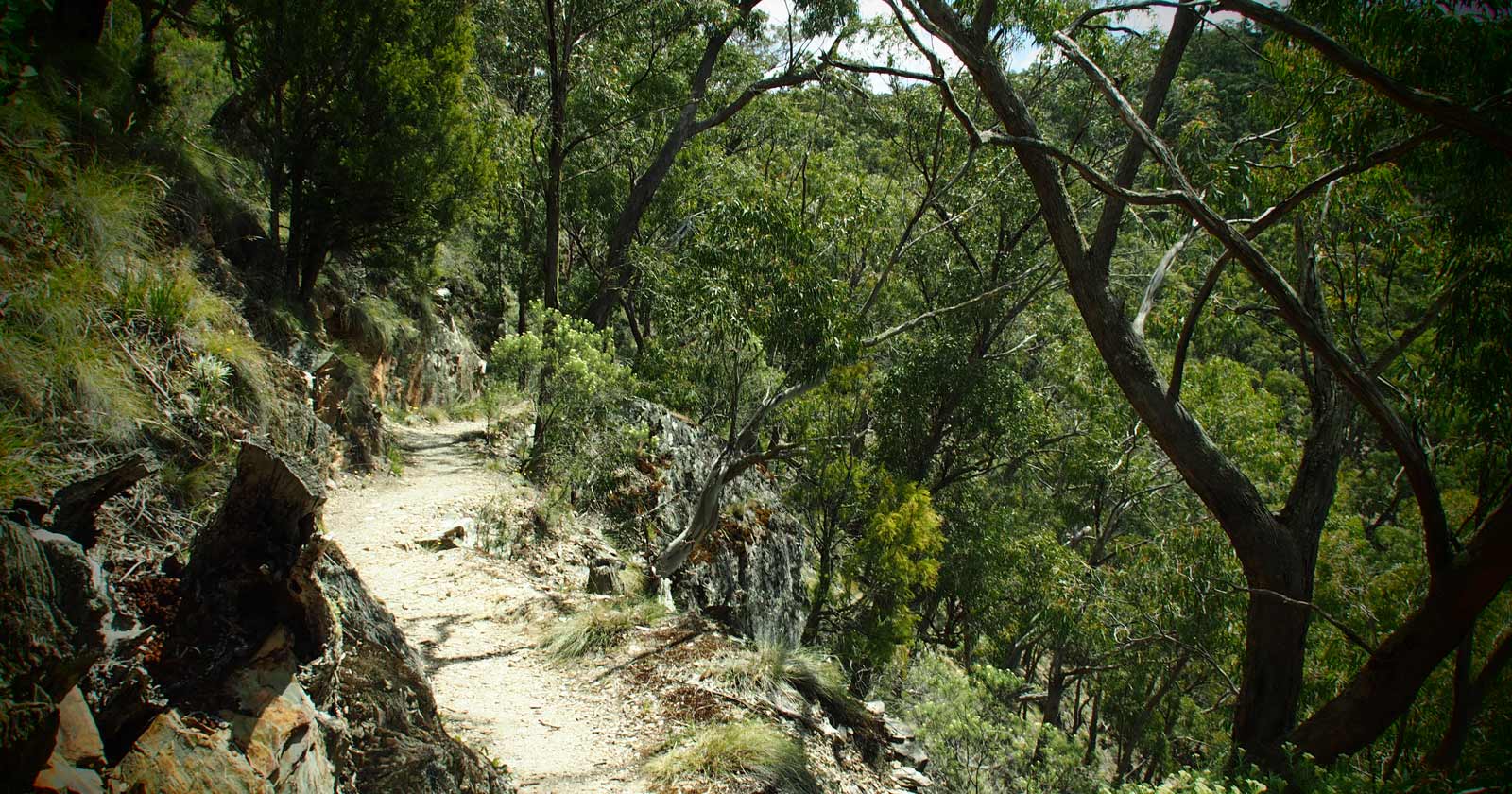 Day 2 - section along byers back track