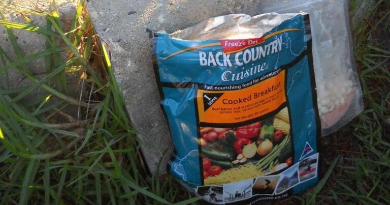 Freeze dried food