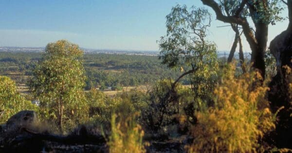 Mount Black Walk Mount black walk