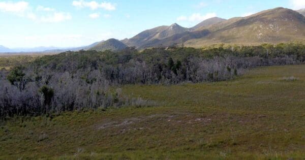 Port Davey Track Port davey track