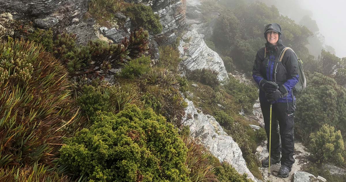 Aluminium hiking poles