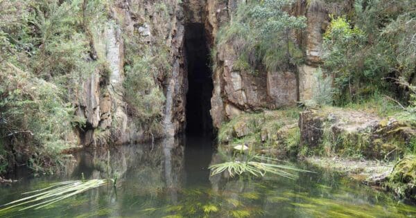 The tunnel