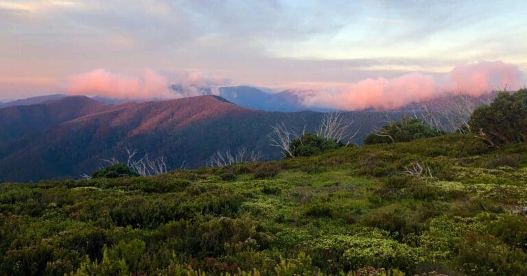 Falls to Hotham Alpine Crossing Hike (37km) Falls to hotham alpine crossing 768x403