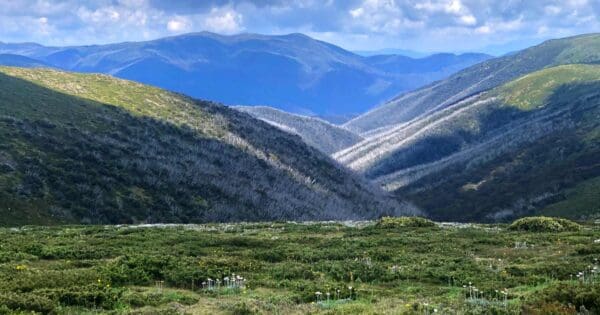Hotham huts walk