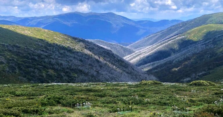 Hotham Huts Walk Hotham huts walk