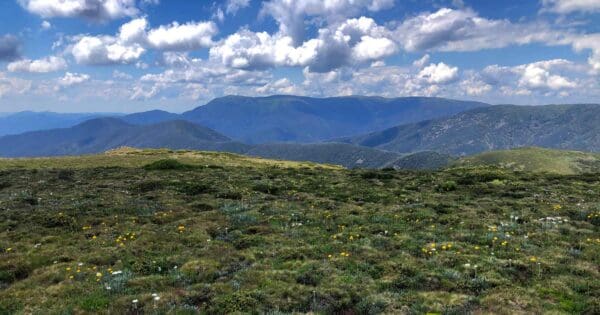 Hotham to dinner plain trail