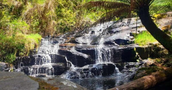 Lorne Waterfalls Loop Lorne waterfalls loop