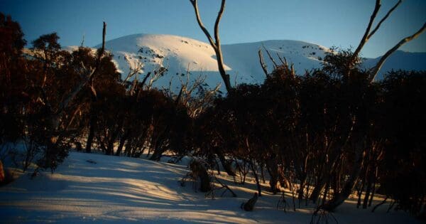 Mount Bogong Summit Mount bogong summit