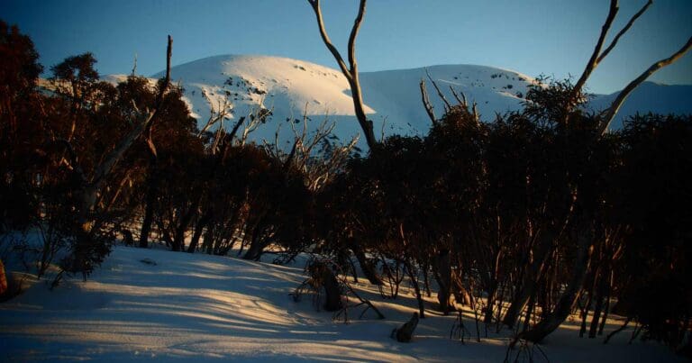 Mount Bogong Summit Mount bogong summit
