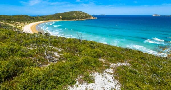 Squeaky beach wilsons prom