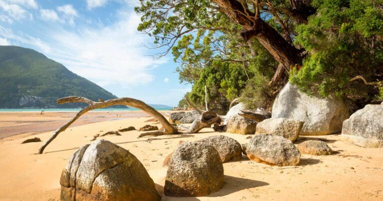 Wilsons Prom: Southern Circuit Hike (42km) Wilsons promontory southern circuit 768x403