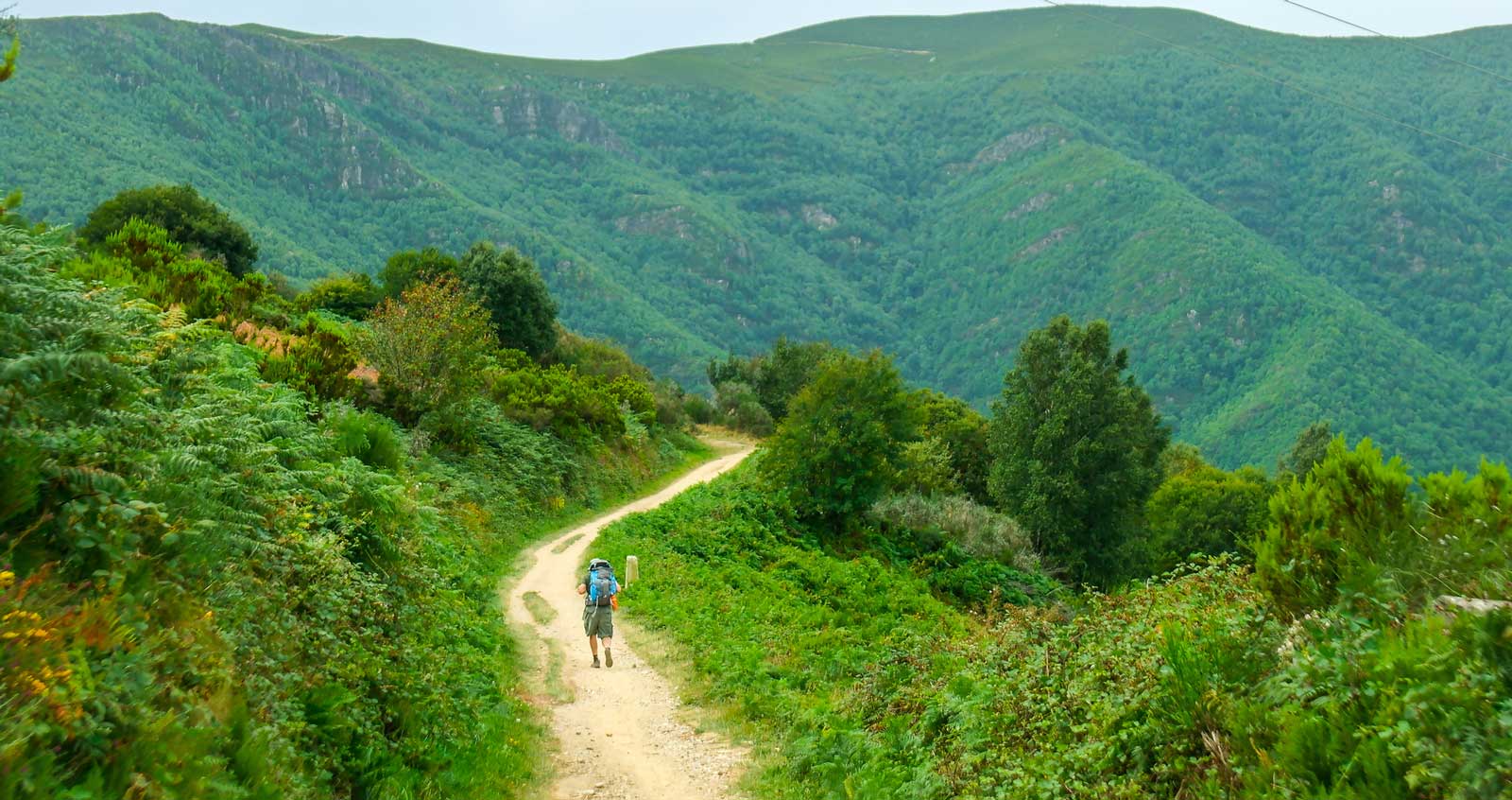 Camino de santiago spain