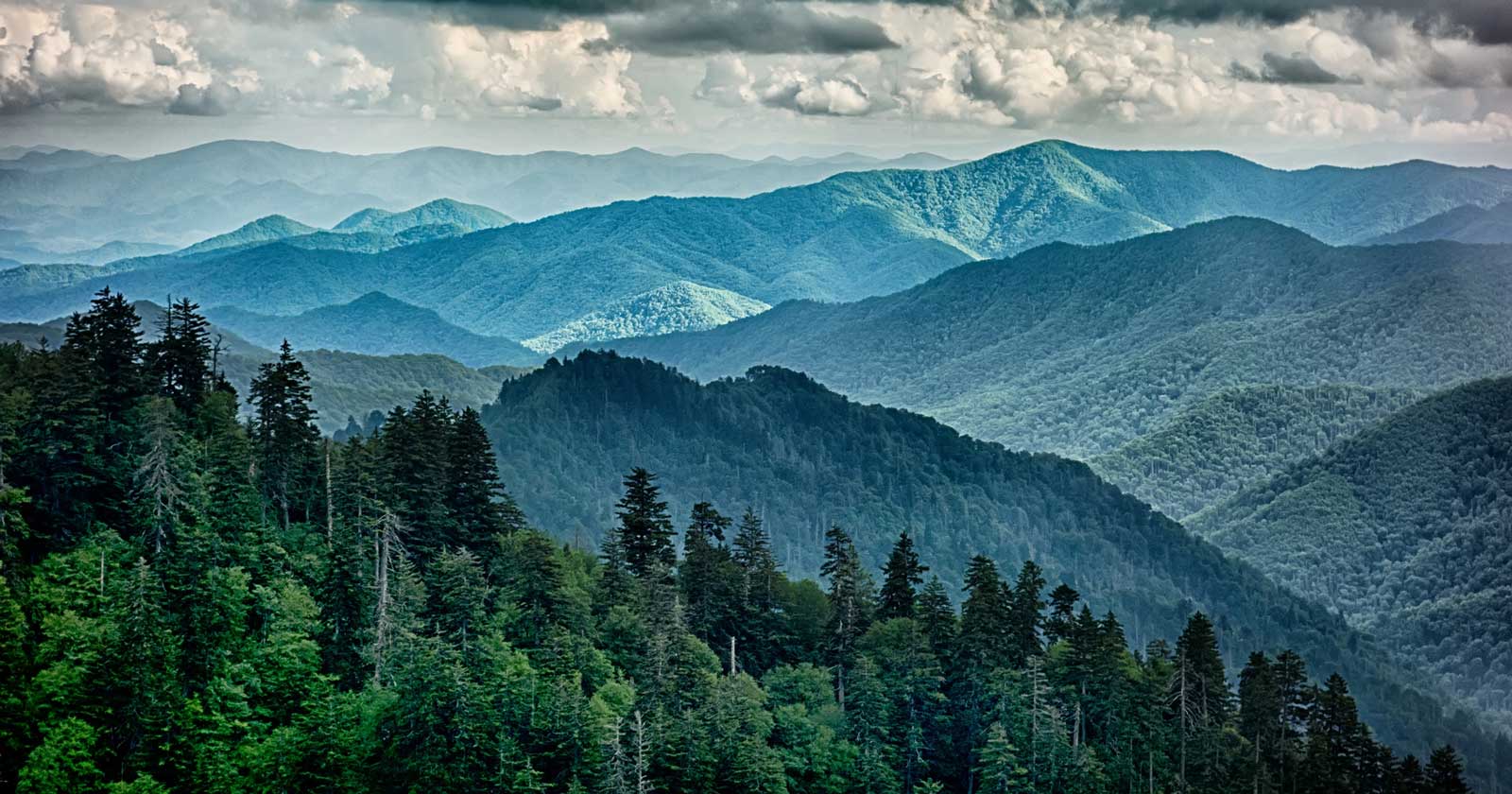 The appalachian trail