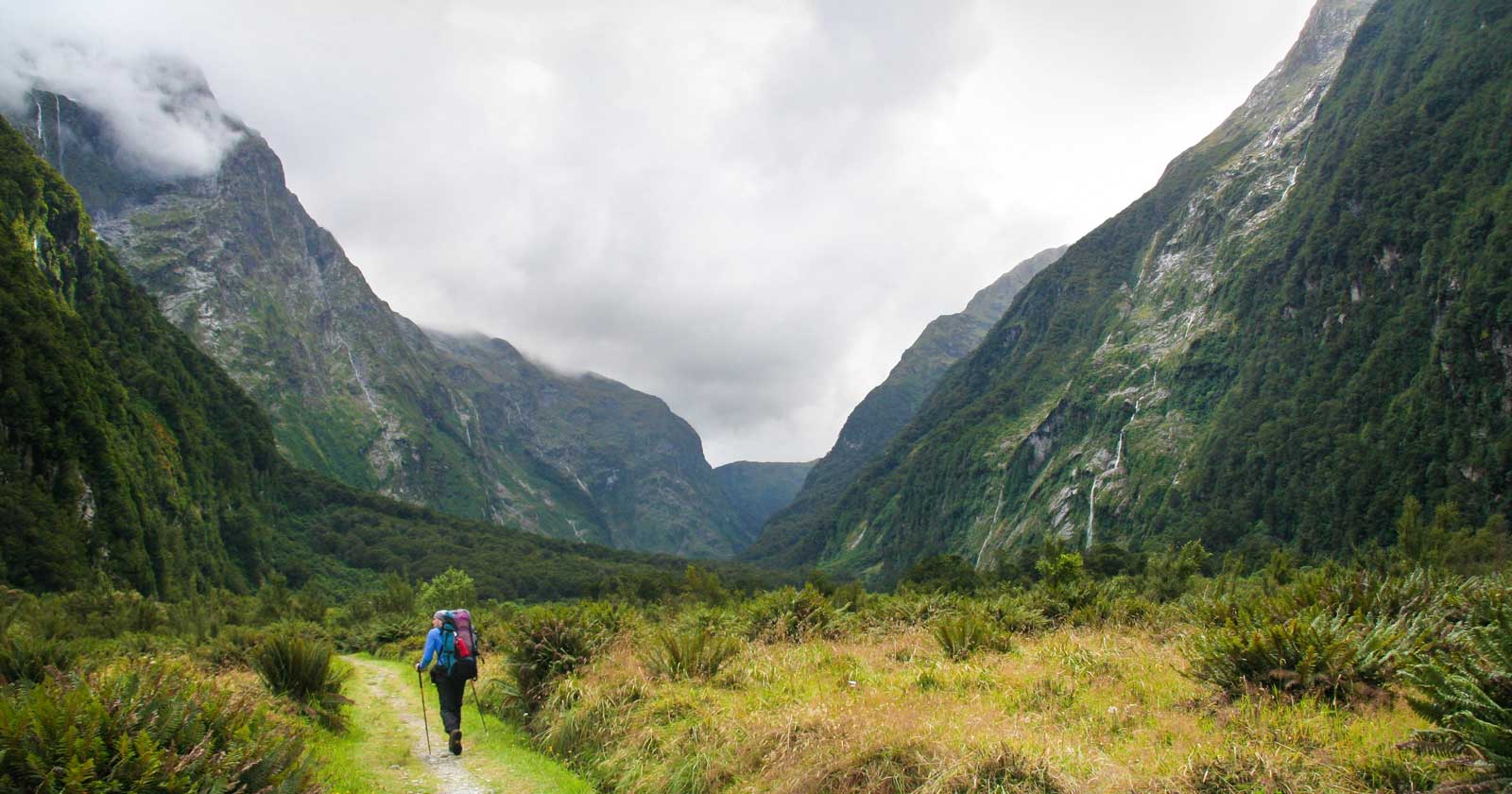 The milford track – new zealand