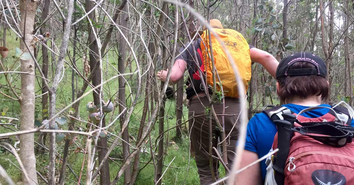 Becoming a self-reliant hiker