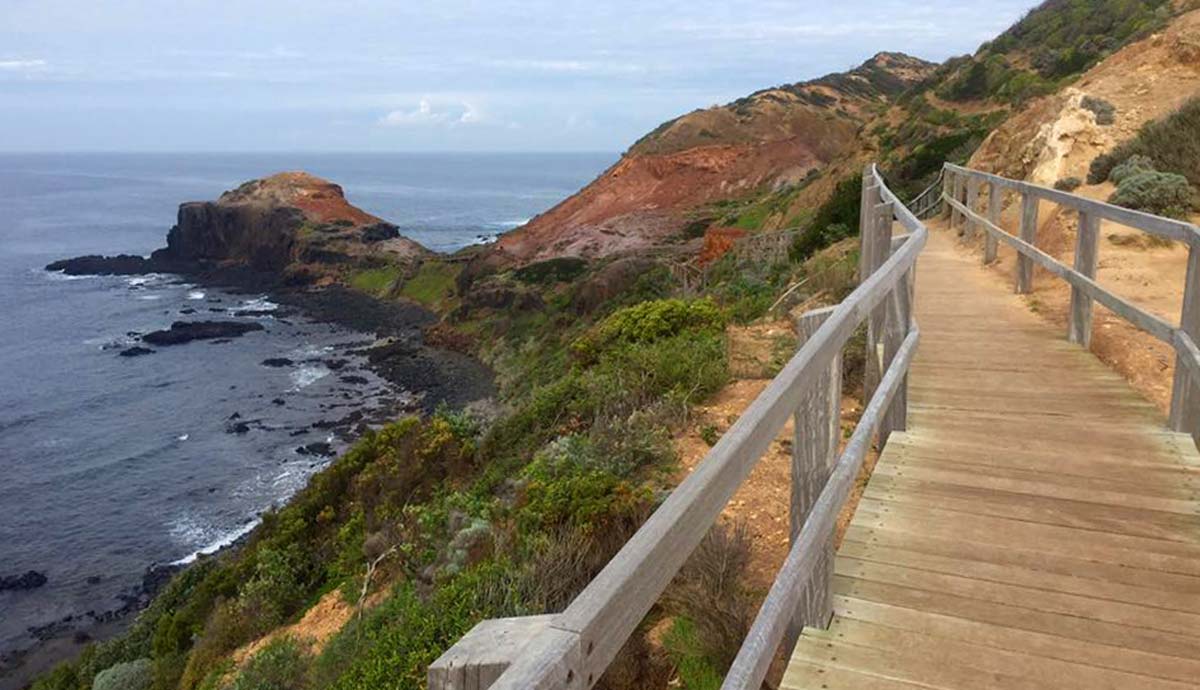 Bushrangers bay & gunnamatta – mornington peninsula national park