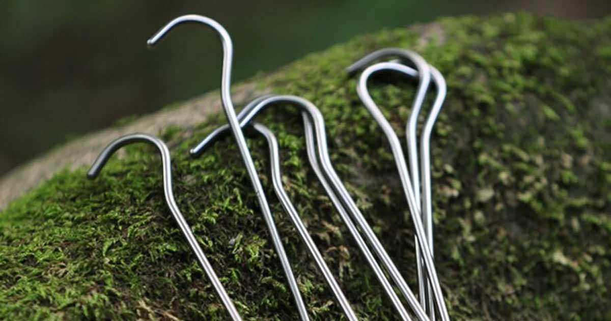 Shepherds hook tent pegs pushed into soft, mossy ground, showing their thin profile and hooked heads.