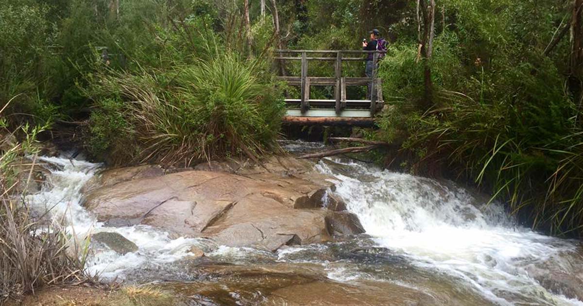 Keppell lookout & steavenson falls