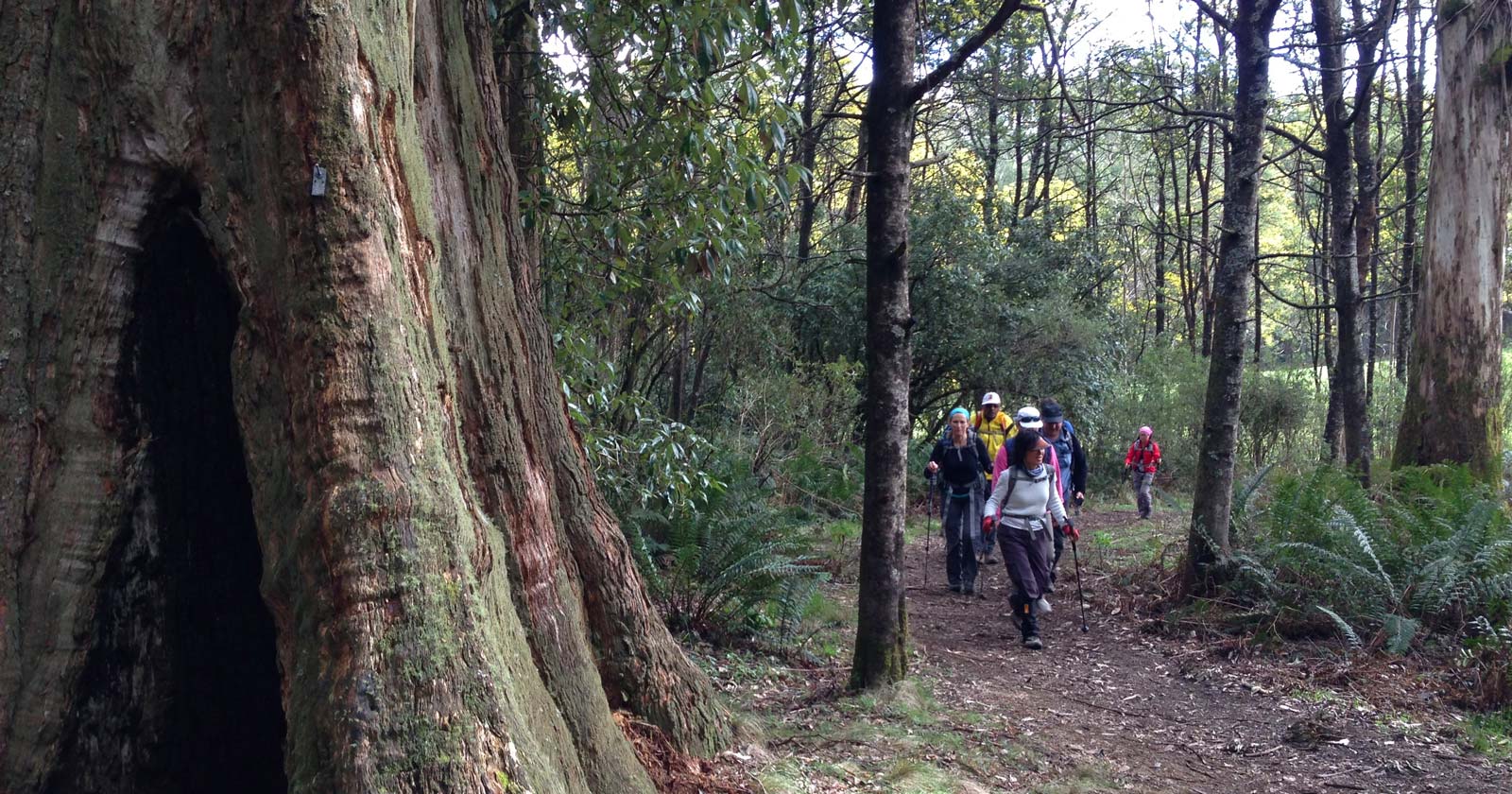 Macedon ranges walking trail – macedon ranges
