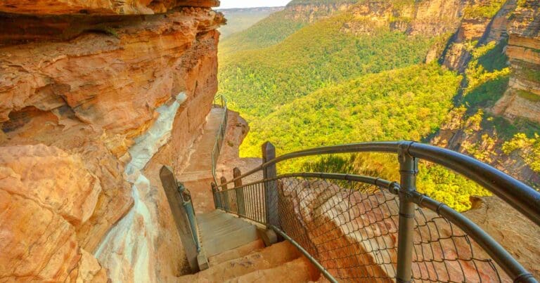 Walks and hikes near sydney