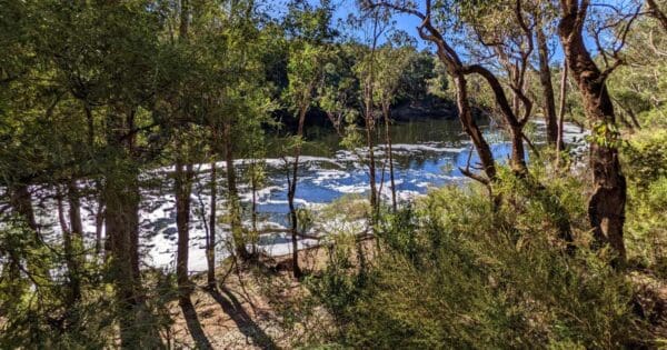 Island Pool Walk Trail Island pool walk trail