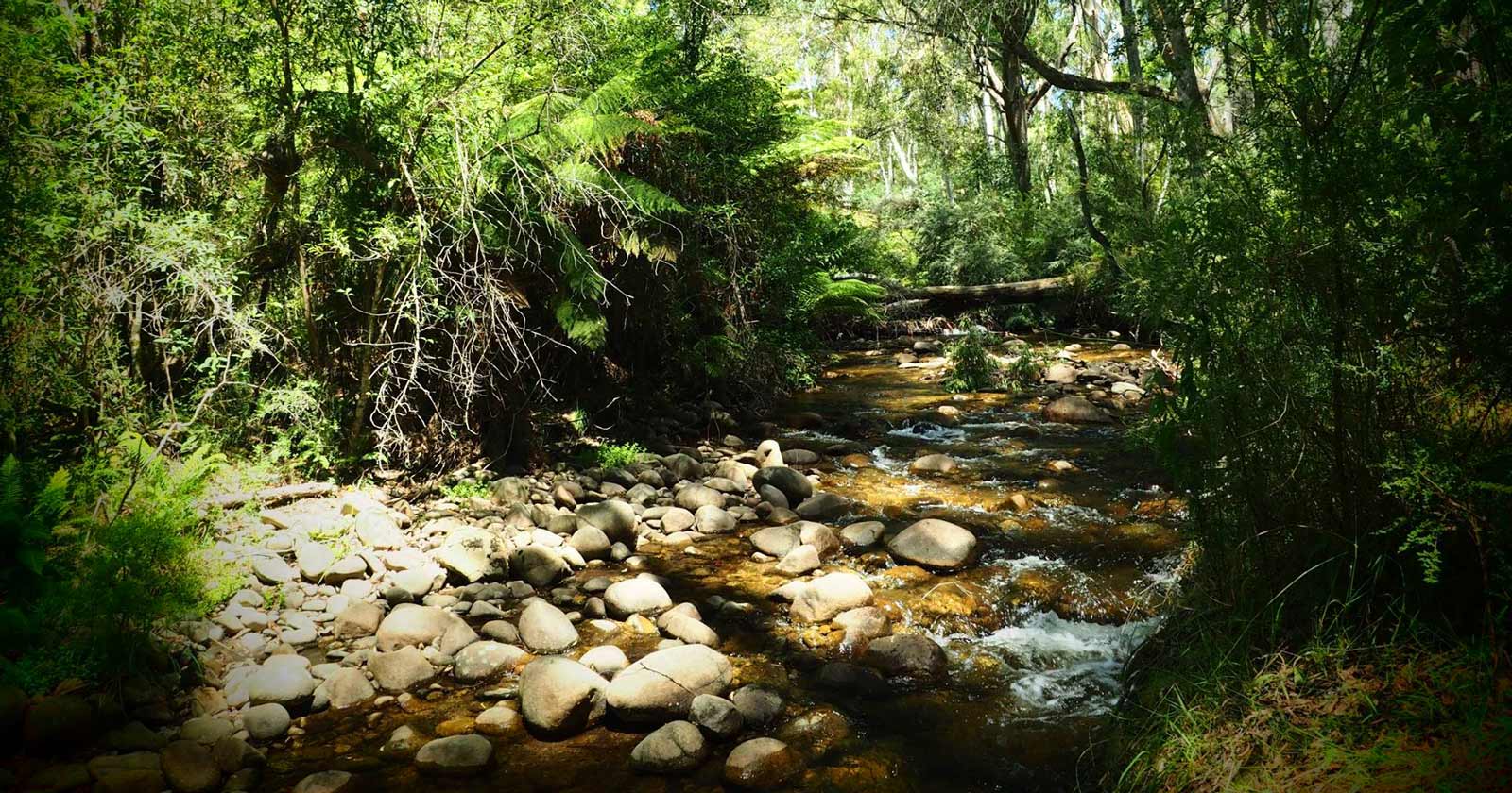 10 popular hikes near Melbourne: Hand picked for you Popular hikes near melbourne