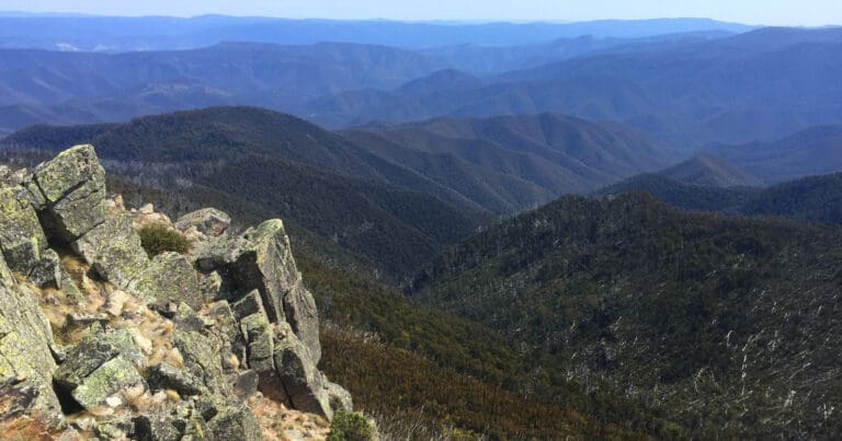 Walks and hikes near melbourne