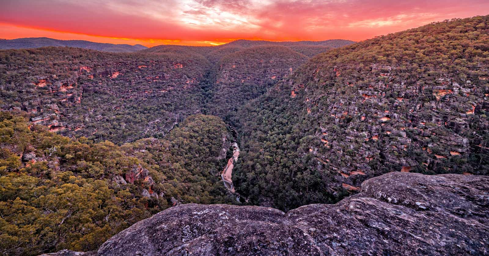A Hiker's Paradise: Discover 12 of Australia's Great Walks Sunset over wollemi natinal park