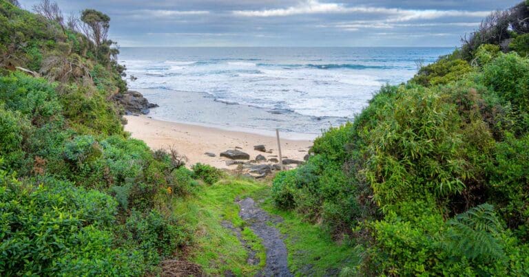 Cape Otway to Aire River Cape otway to aire river