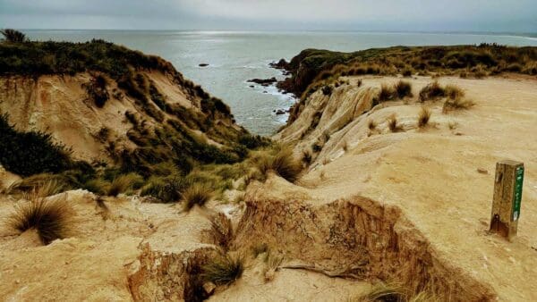 Cape woolamai beacon walk