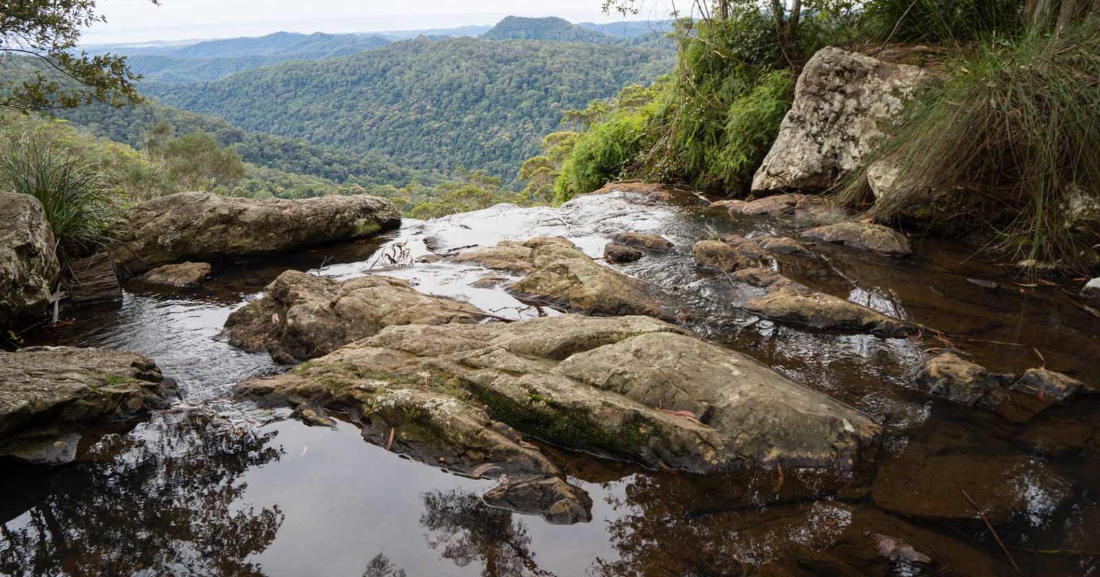Lamington National Park: Queensland’s Hiking Paradise