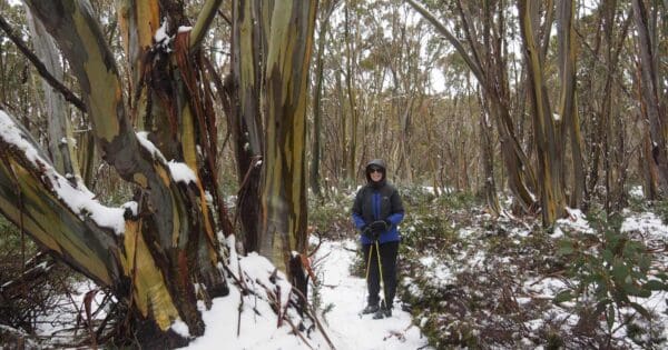 Great walhalla alpine trail