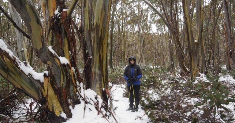 Great walhalla alpine trail (victoria)