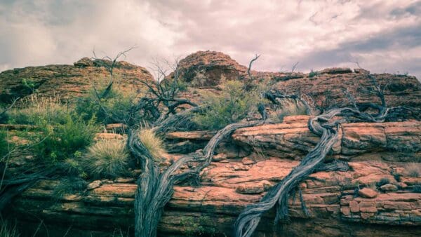 Kings Creek Walk Kings creek walk