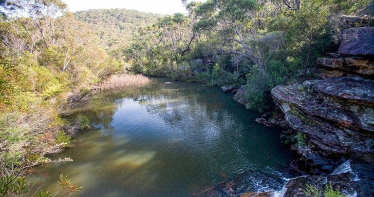 Walks and hikes near sydney