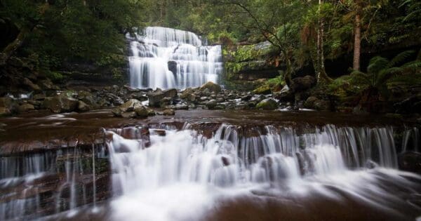 Liffey Falls Hike Liffey falls hike