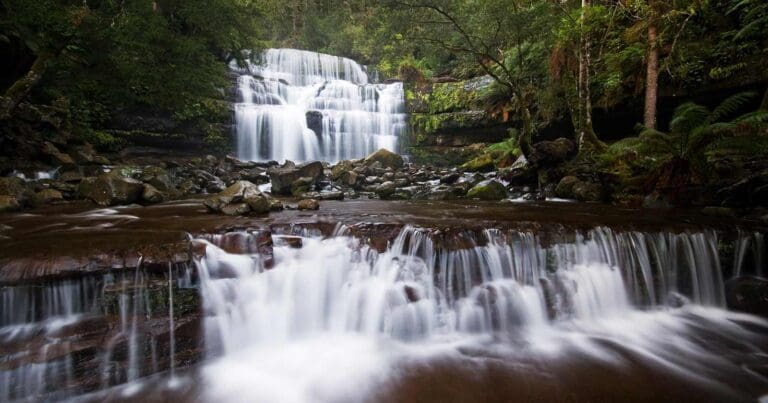 Liffey Falls Hike Liffey falls hike