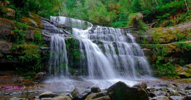 Liffey Falls Walk Liffey falls walk