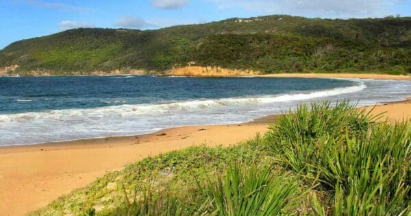 Maitland bay track