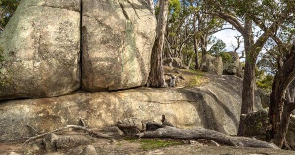 Mount alexander traverse