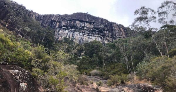 Mount Coochin Peaks Traverse (2.5km) Mount beerwah summit 600x315