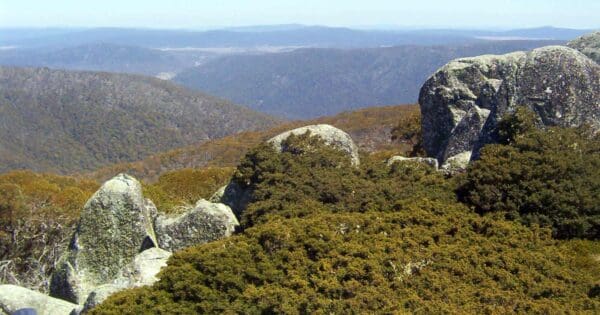 Stockyard Spur to Mount Ginini Stockyard spur to mount ginini