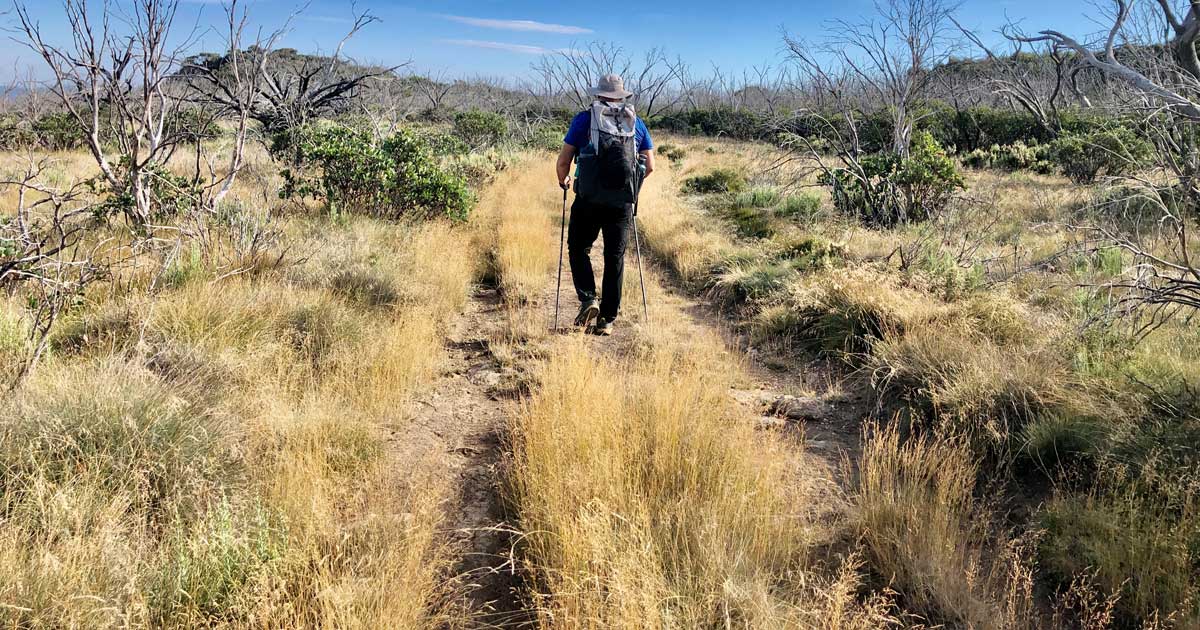 Neve Gear Wallaroo 45L Framed Backpack V2 Review Neve gear wallaroo