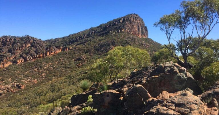 Walks and hikes near adelaide