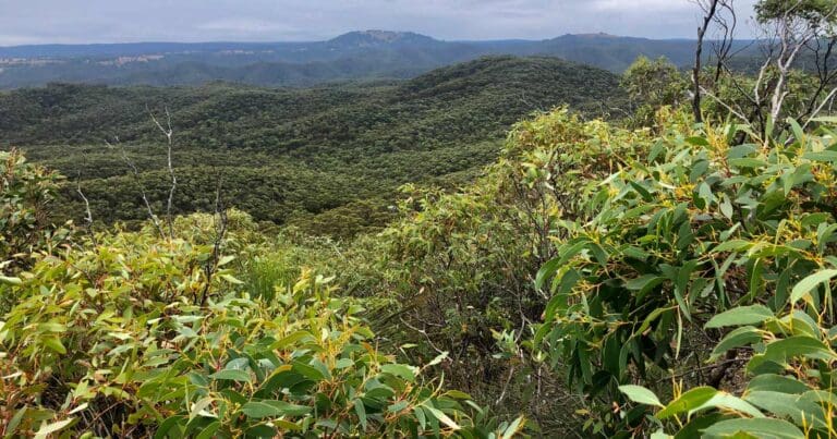 Find a hike or bushwalk